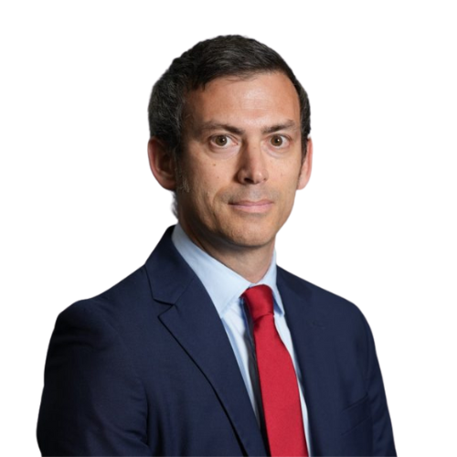 Francois Briand Speaker at 8th CKD Summit